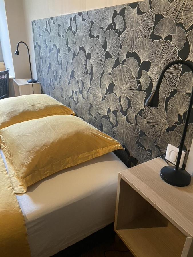 Ginkobiloba : Appartement Cosy En Coeur De Ville Bagnères-de-Bigorre المظهر الخارجي الصورة